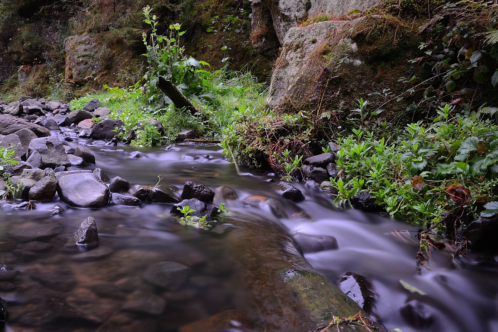 the water is flowing down the mountain stream