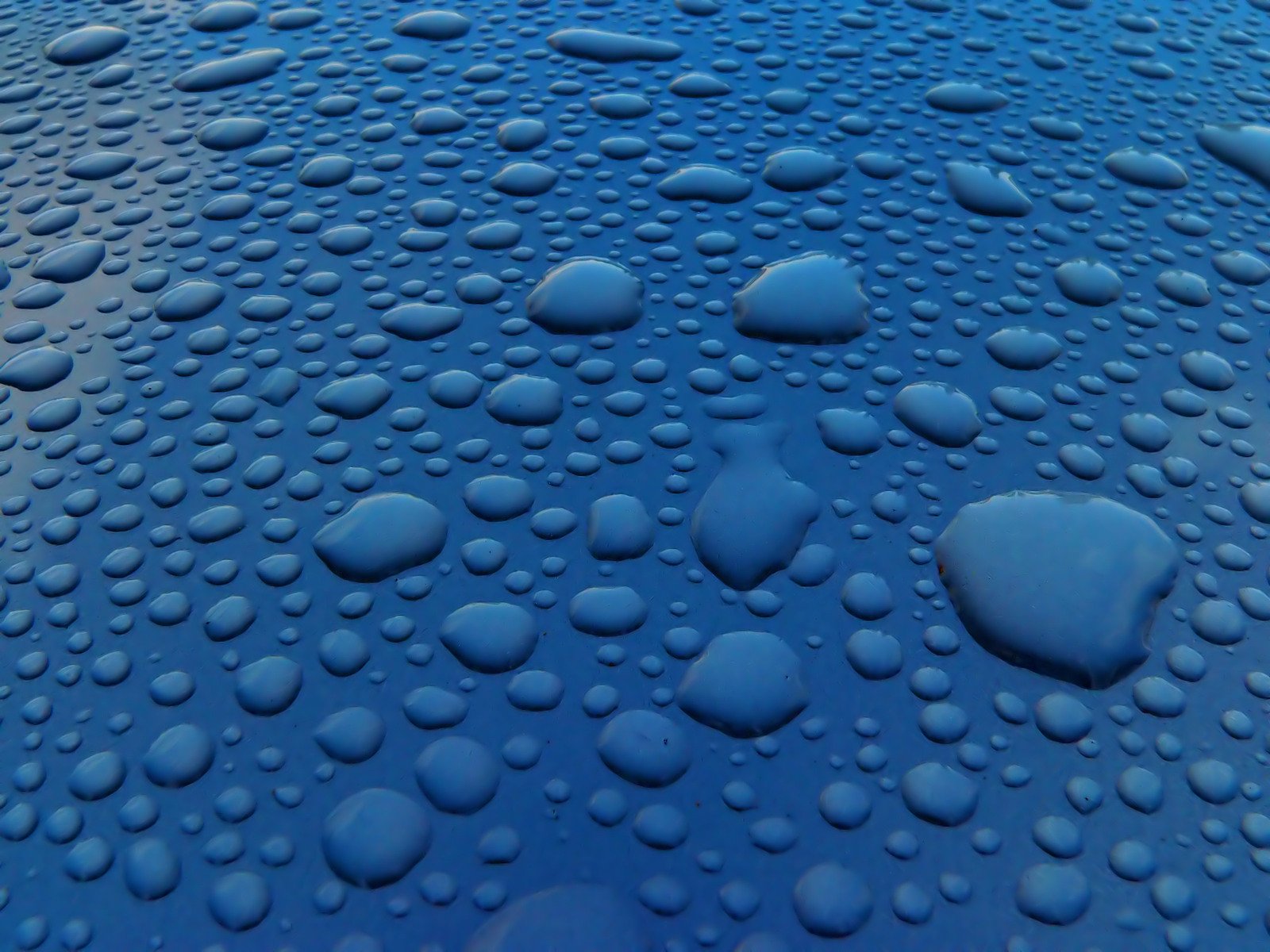 drops of water on a blue surface with different colors