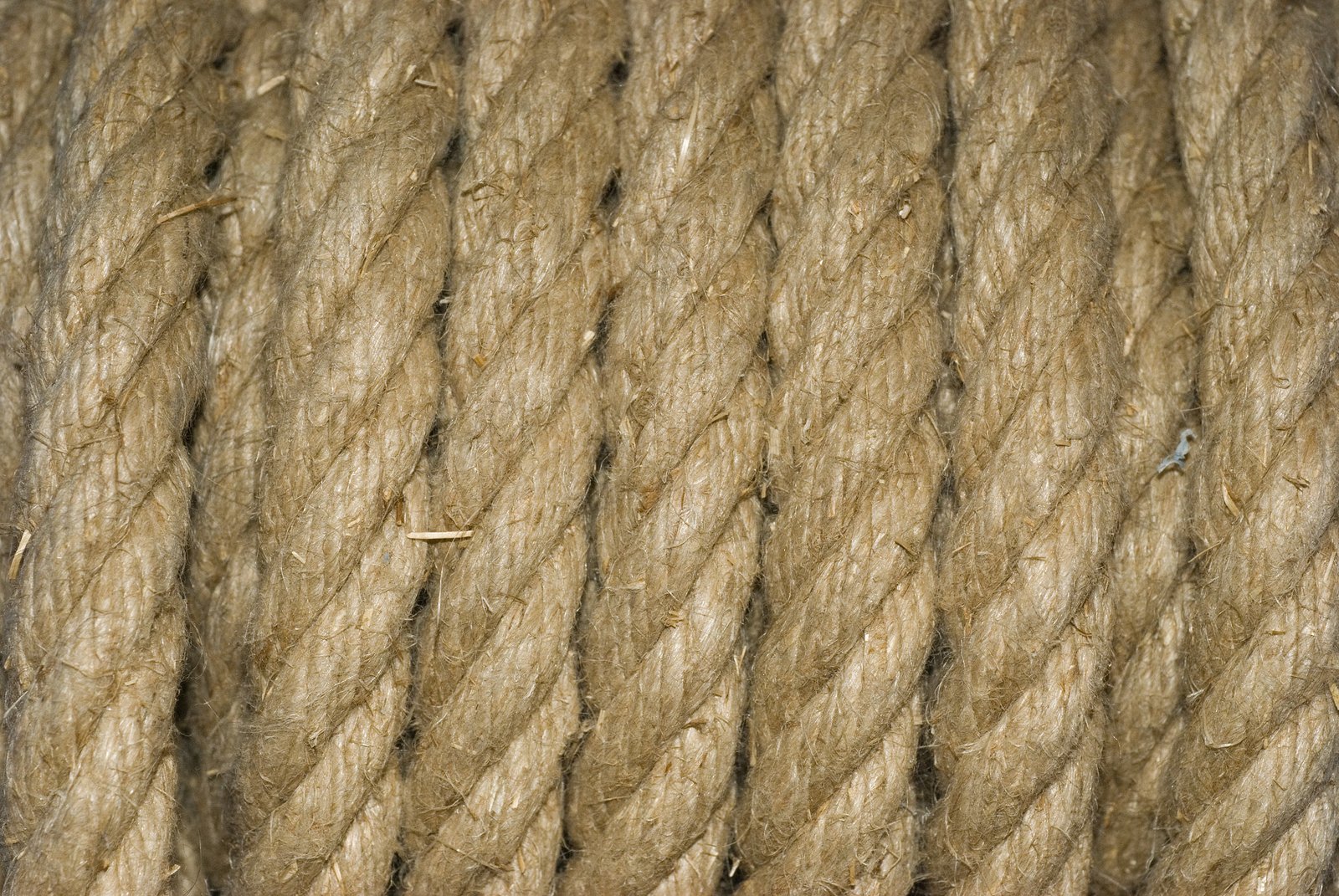 there is a rope with many strands of yarn