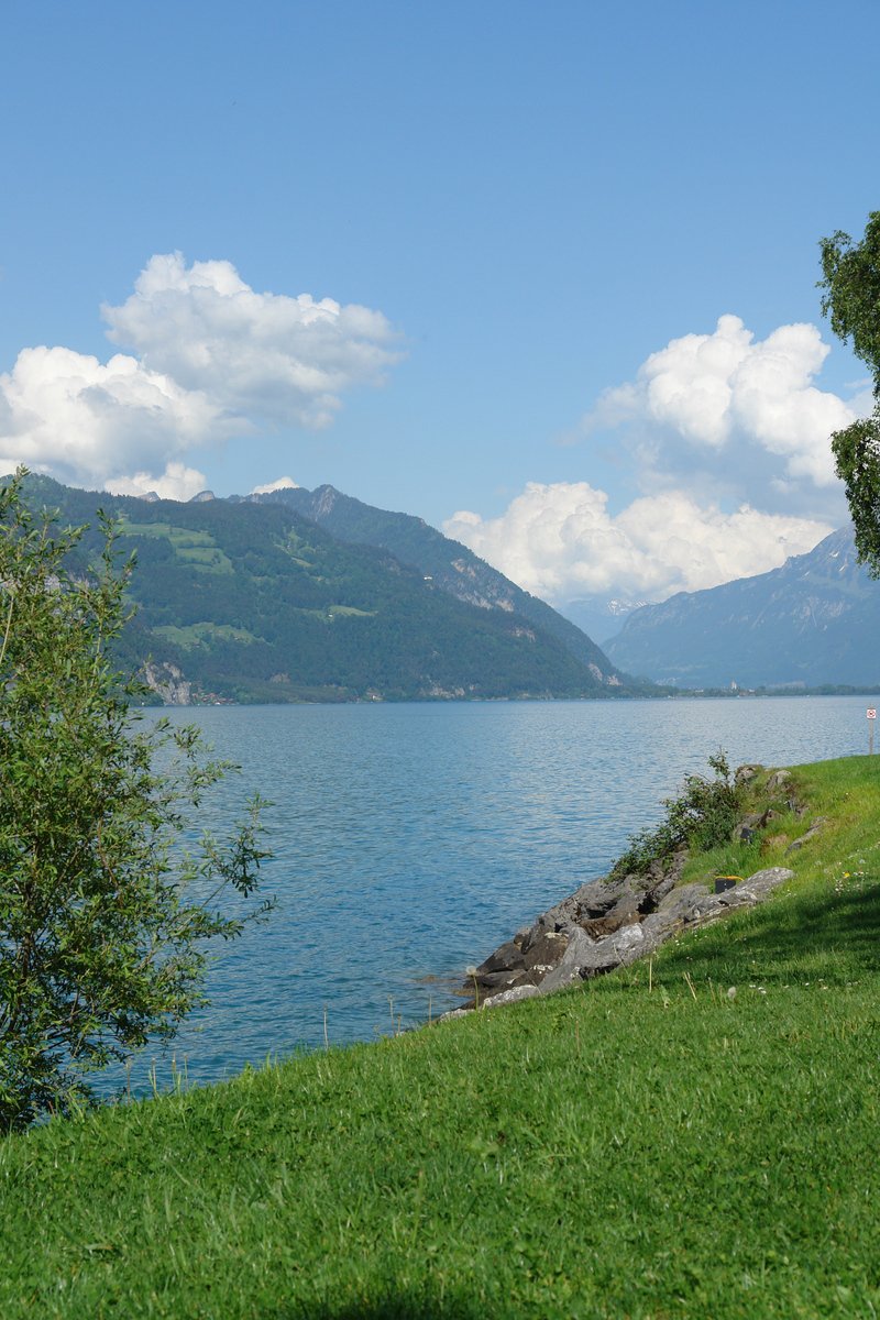 there is a bench that is sitting on the bank of the water