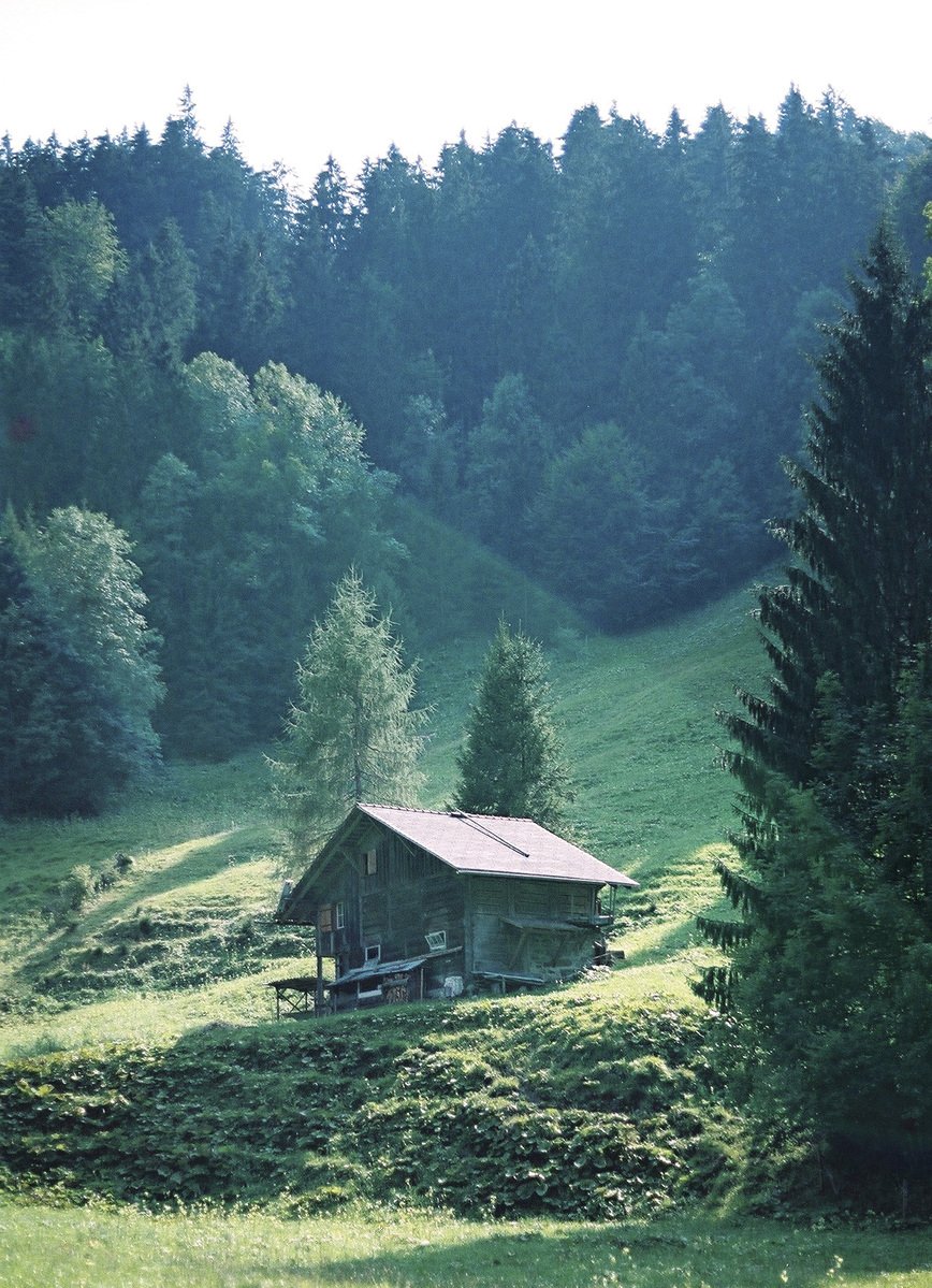 small cabin in a field with trees in the back