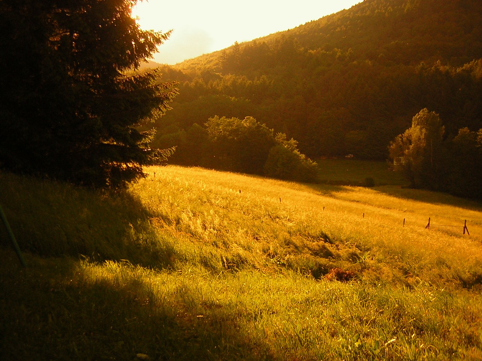 the sun shines brightly on a field near a mountain