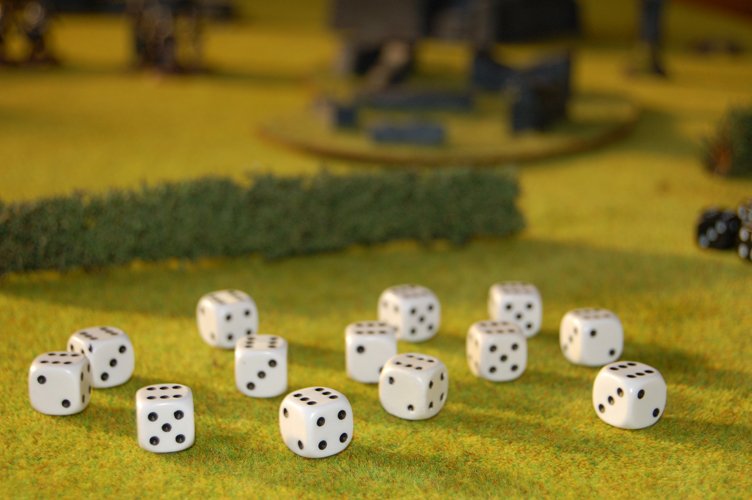 a group of dices are standing in grass