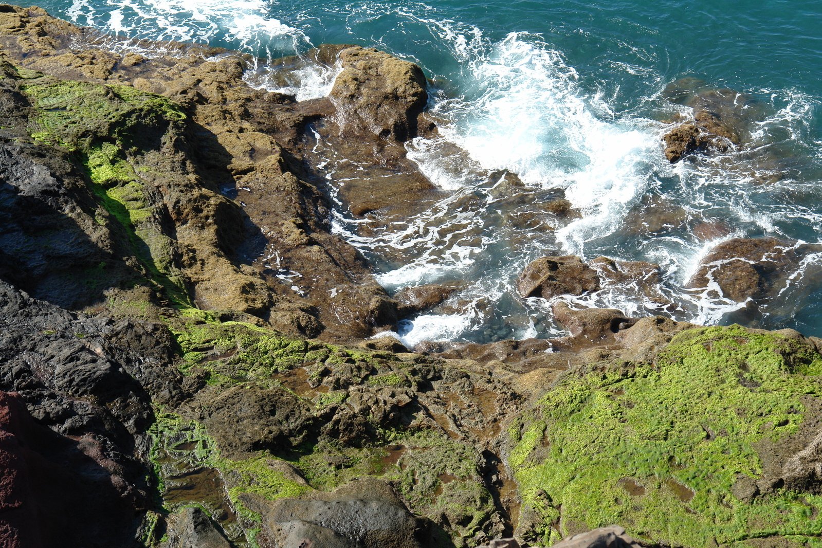 a rocky outcropping overlooks the water and rocky shore