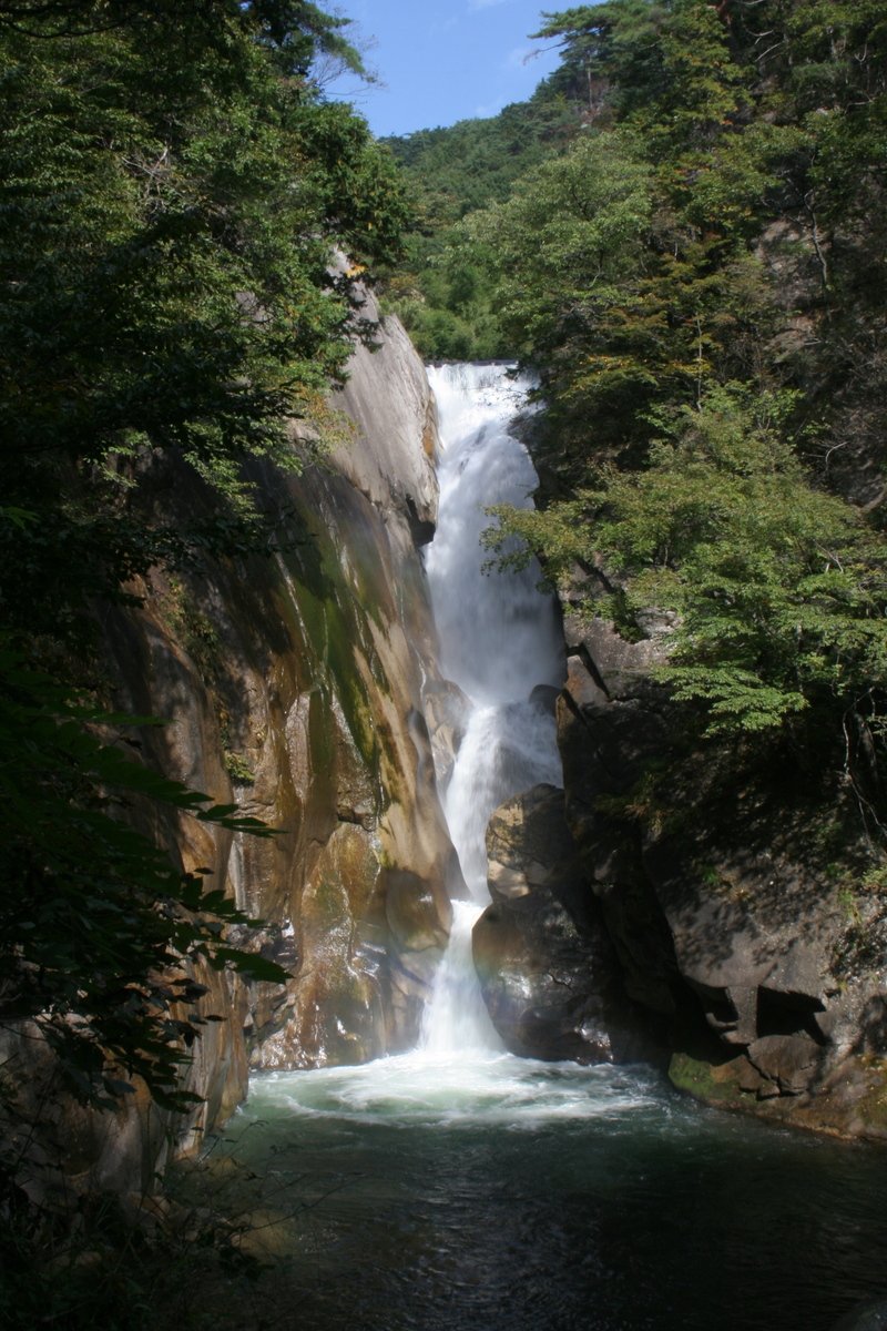 a very pretty waterfall with green plants by the rocks