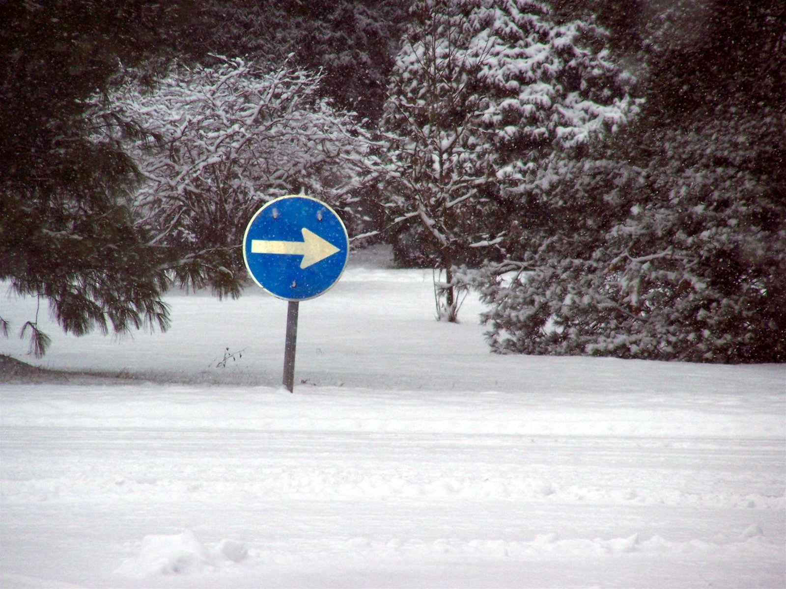 an arrow street sign is in the snow by some trees