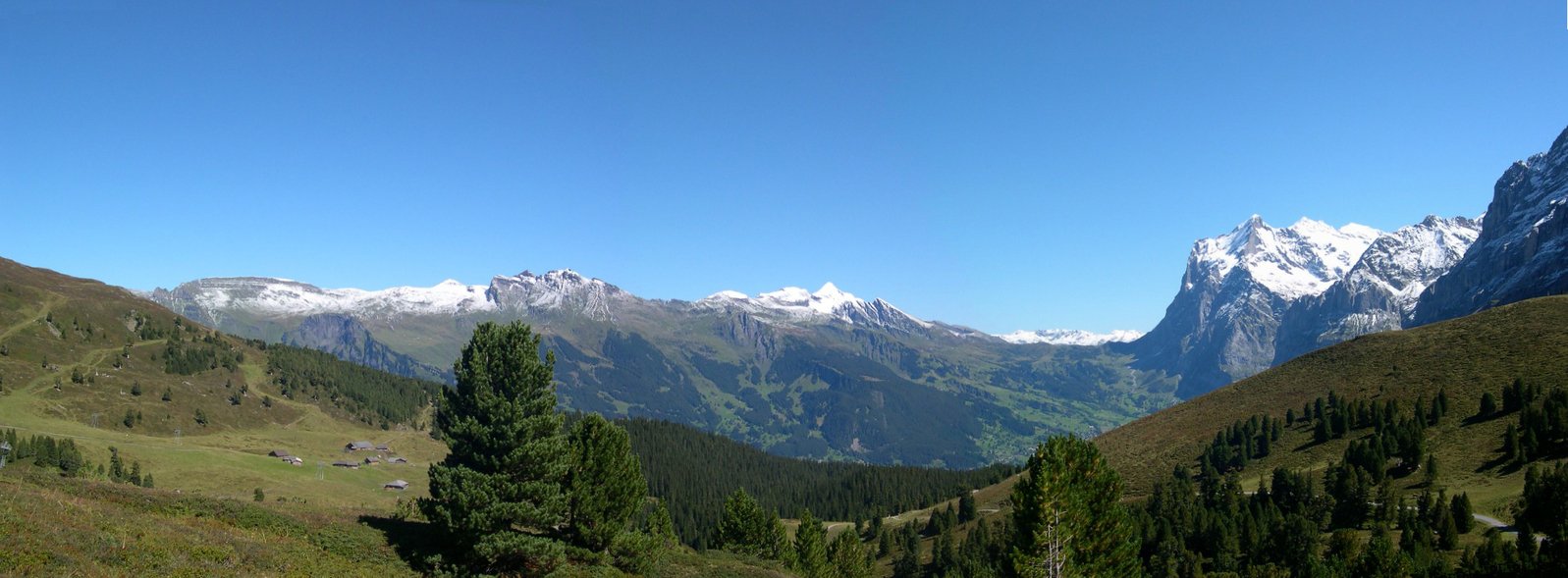 a mountain range covered in snow and green grass