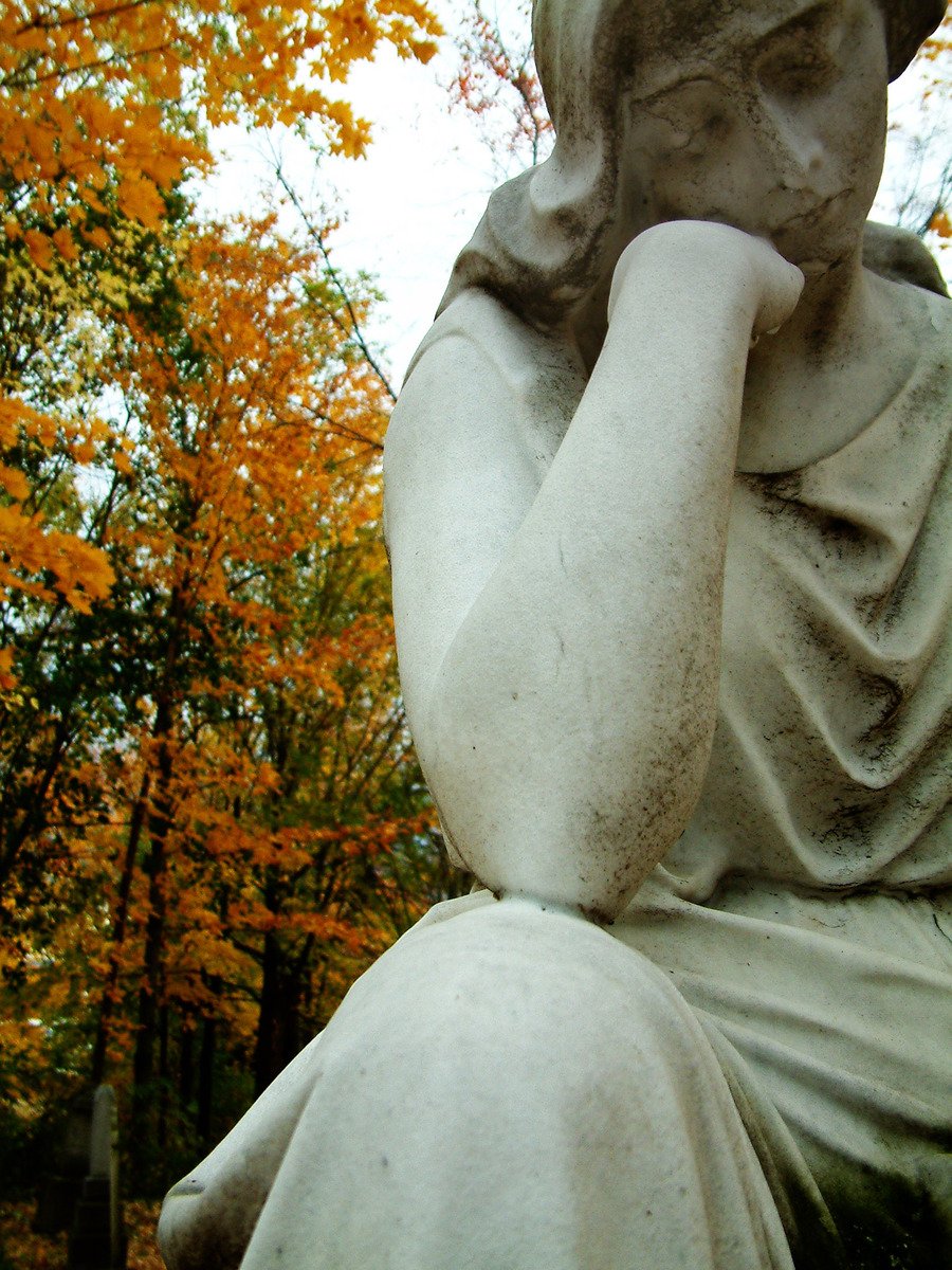 a statue is sitting outside in front of a wooded area