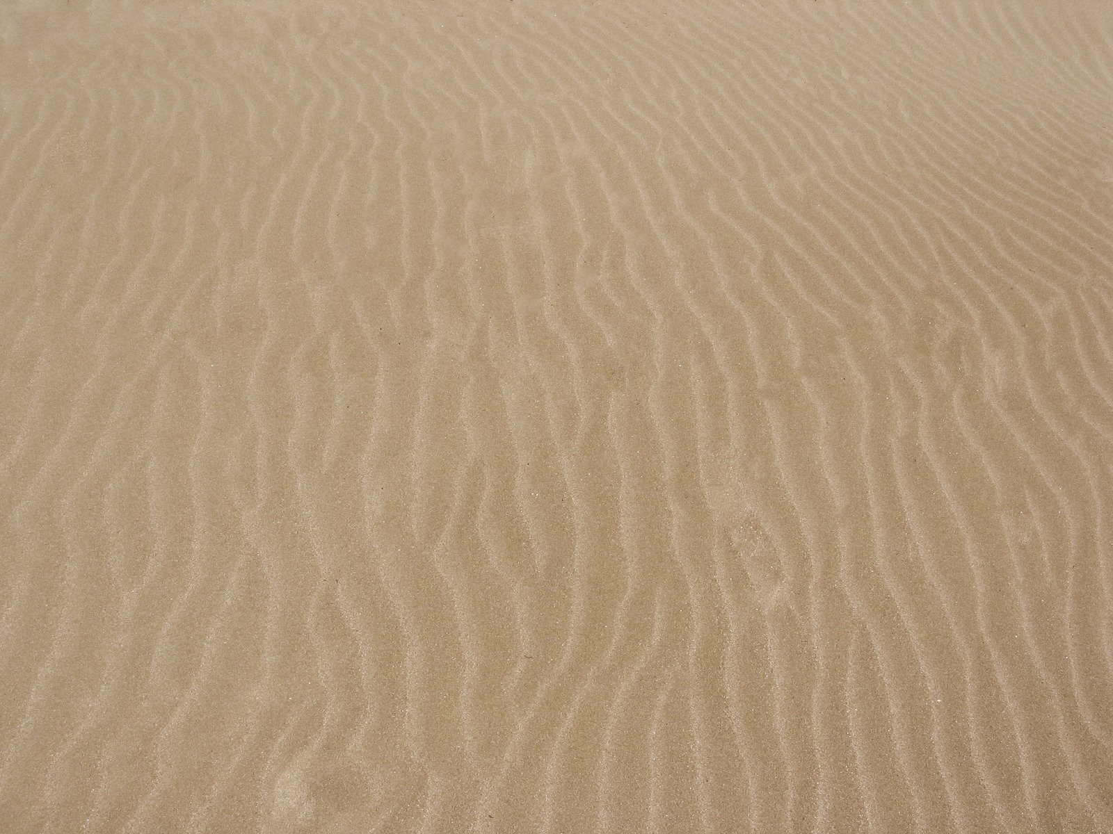 a sand dune pattern in the middle of a plain area