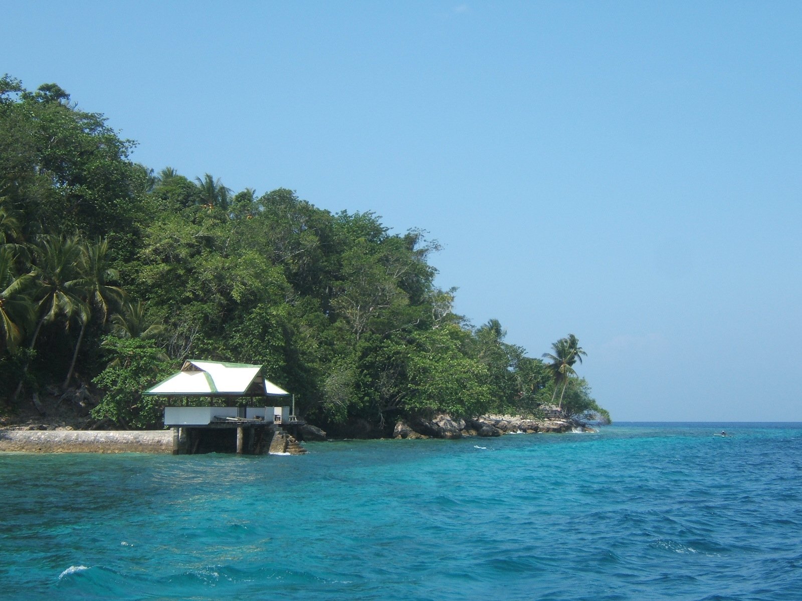 a hut next to the shore line of trees