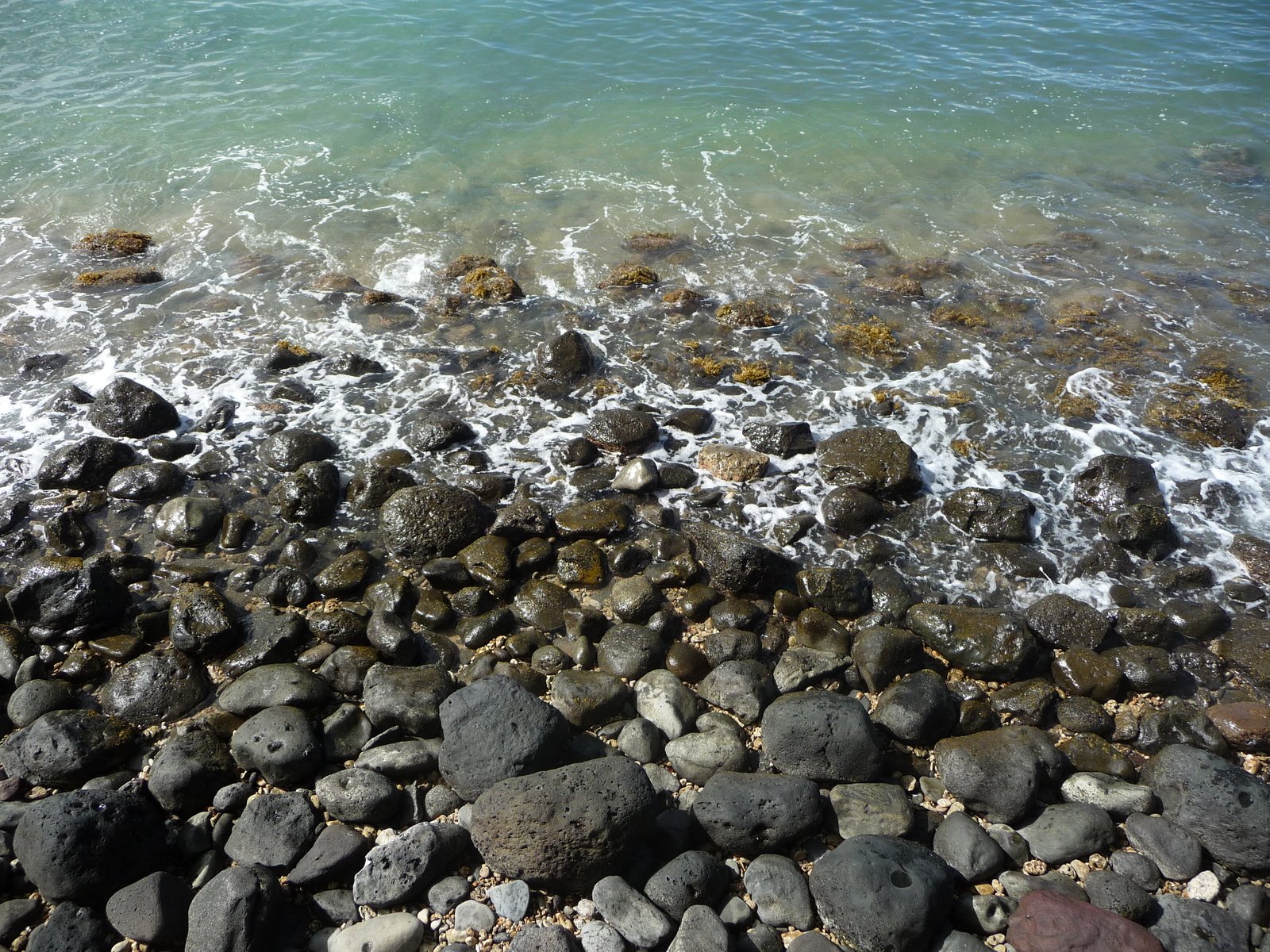 the rocky shore and seaweed are shown from above