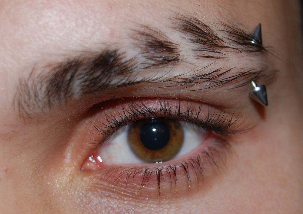 a woman's brown eye with tiny metal pins sticking out of her eyelashes