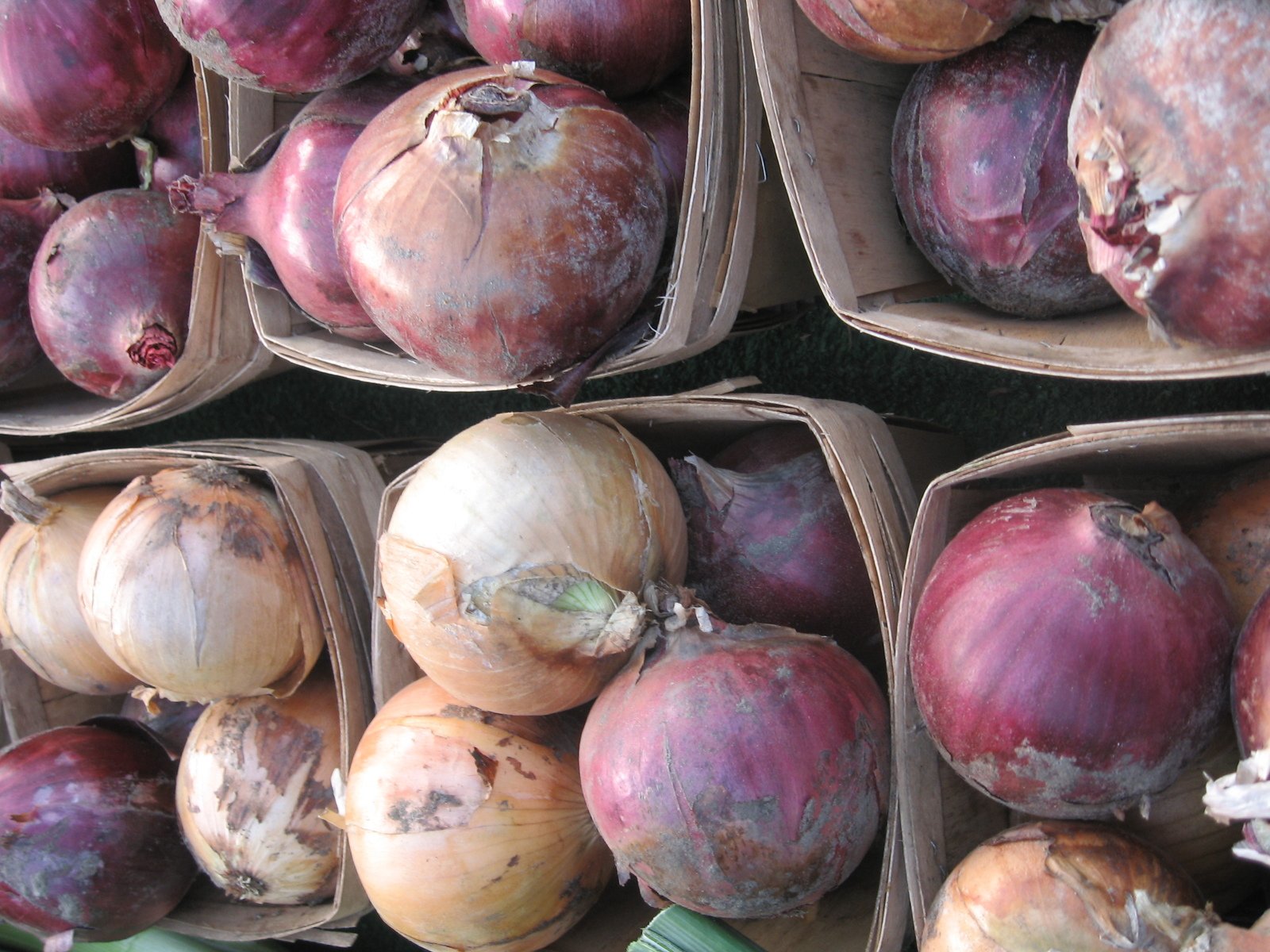 several cardboard baskets with onions in them sitting side by side