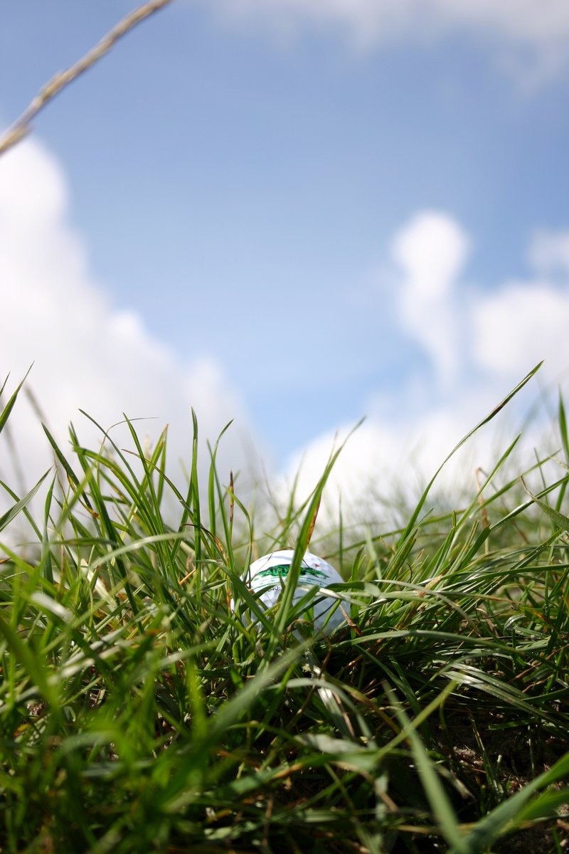 the view from below shows a soccer ball in green grass