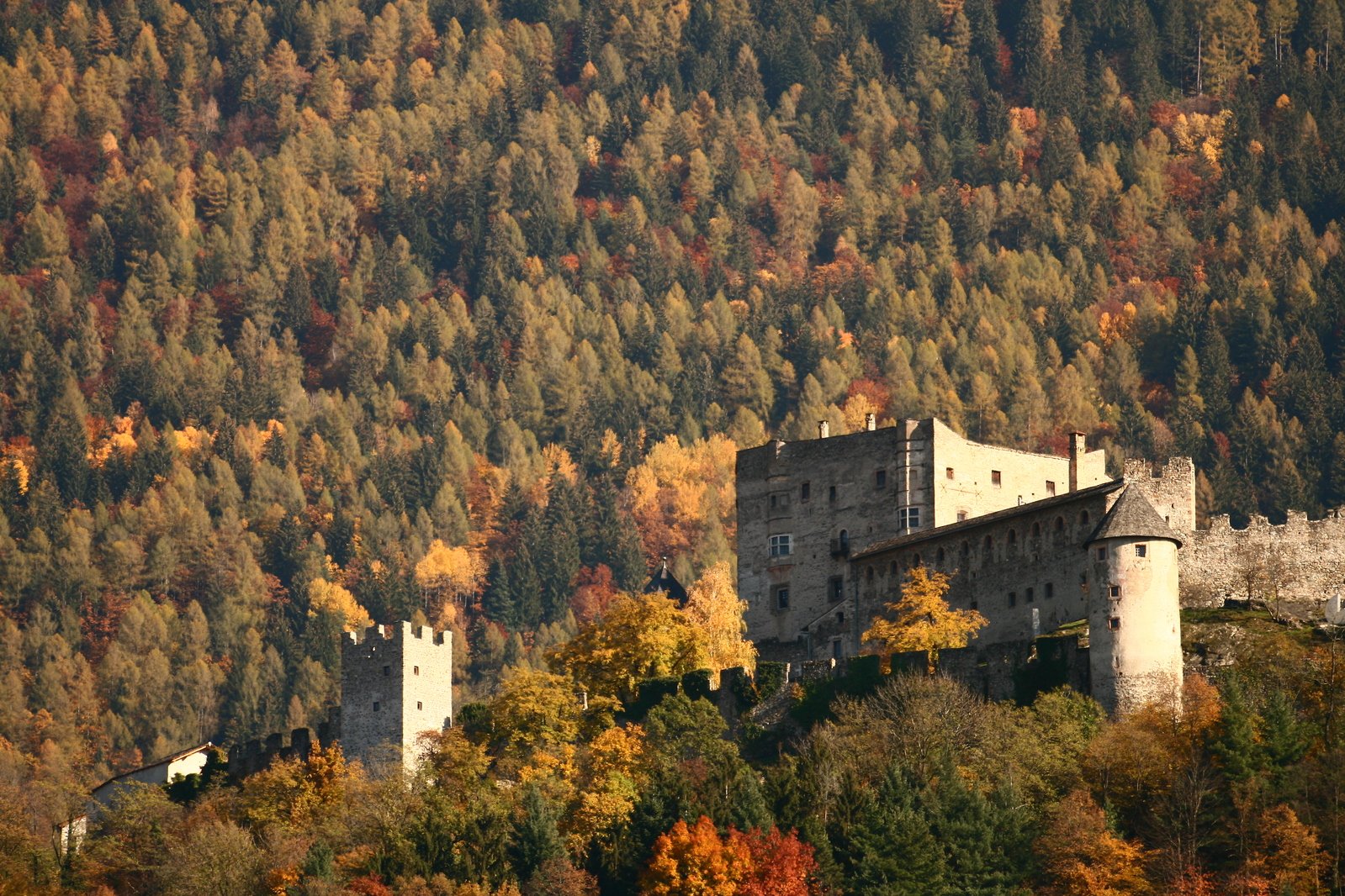 an old castle sitting on top of a hill near a forest