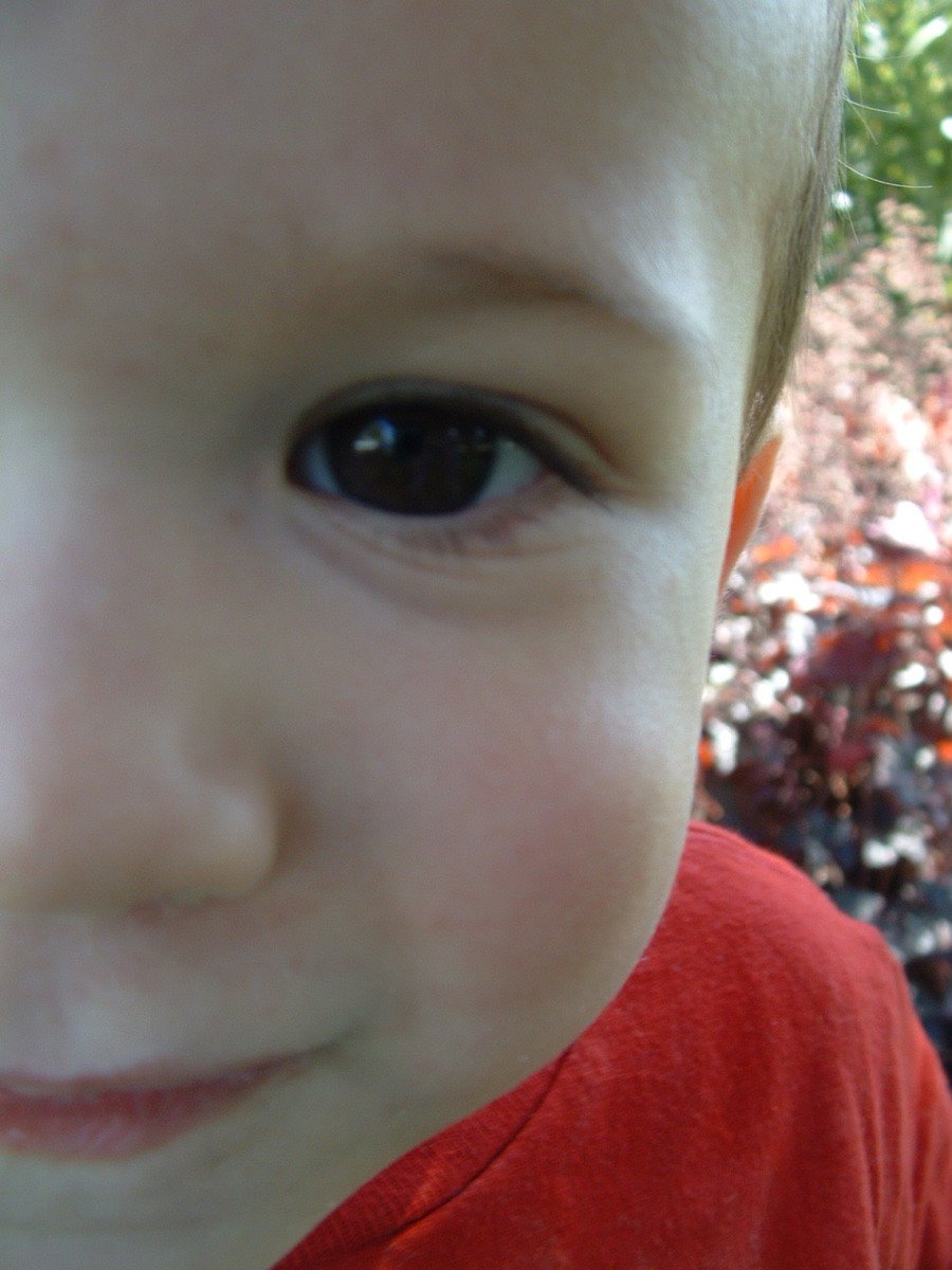 the close up image of the face of a  with large eyes