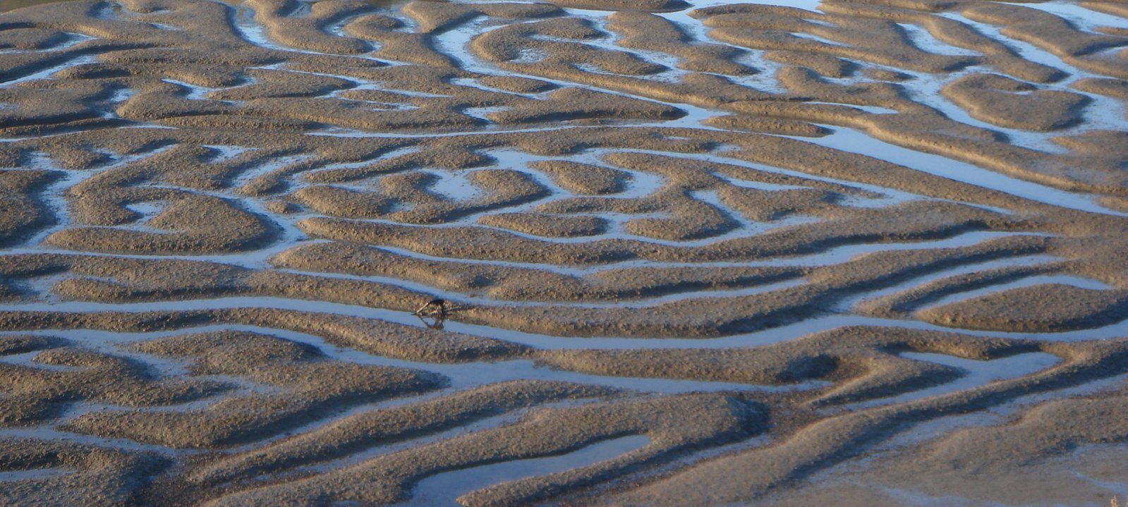 the sand and water are really wavy shaped