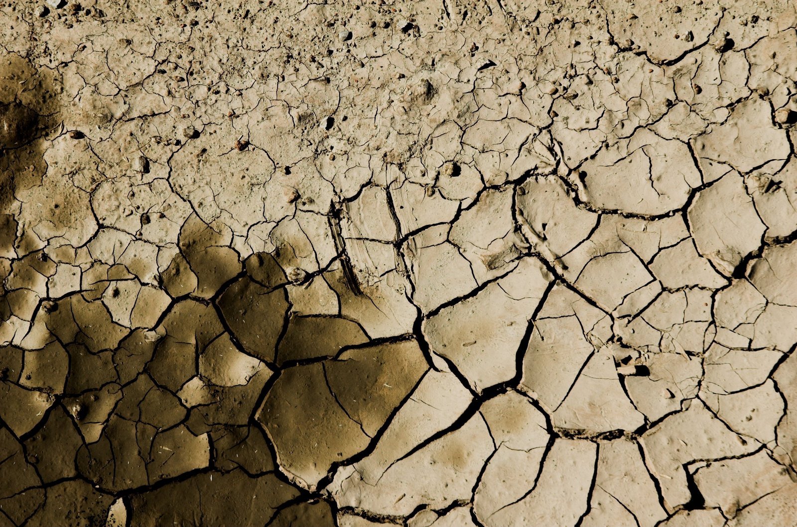 a worn, y surface that has been defaced by the earth