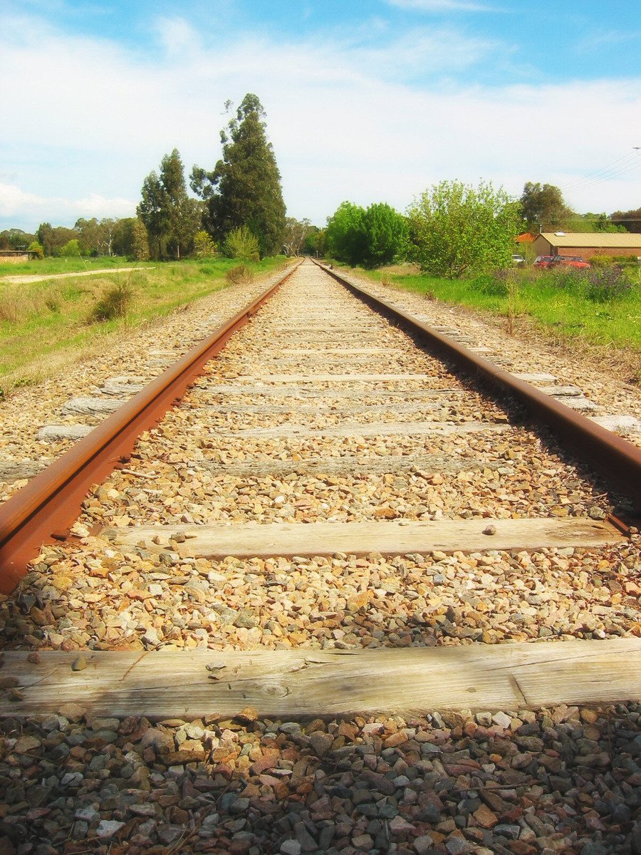 a large long train track runs alongside grass