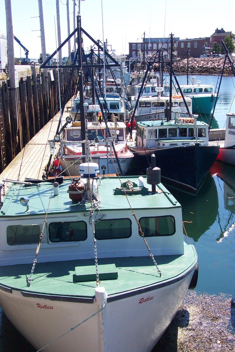 boats tied to the docks near a pier