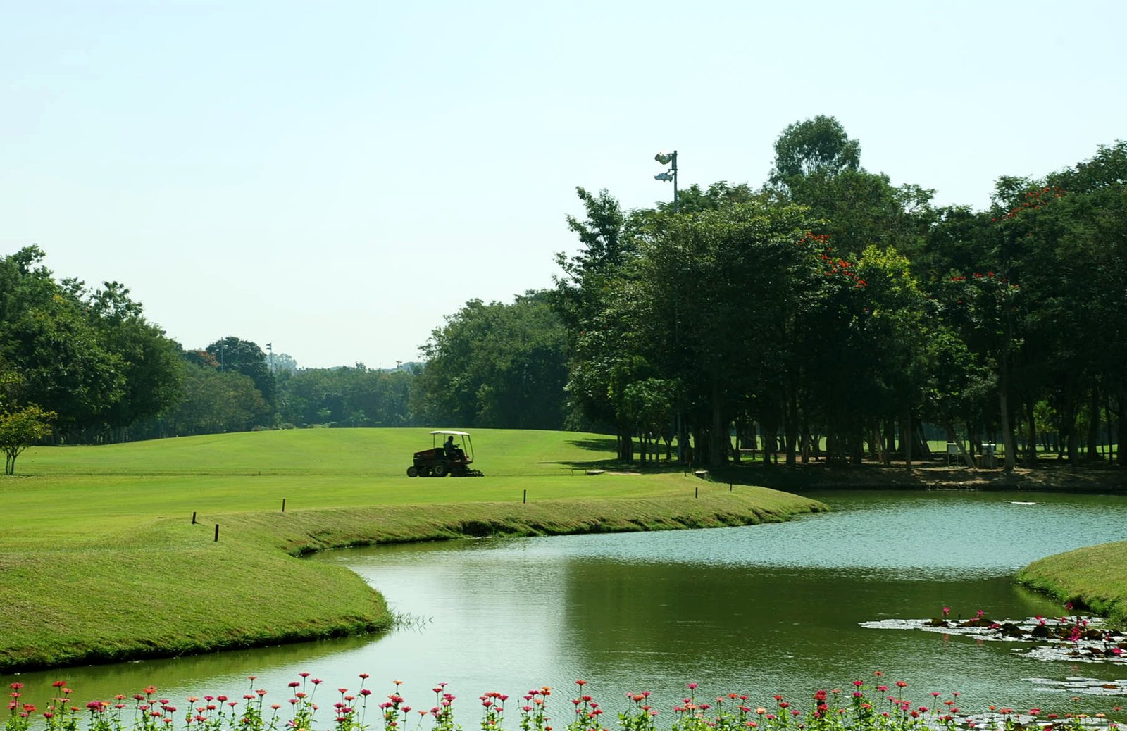 a pond in front of a green golf course