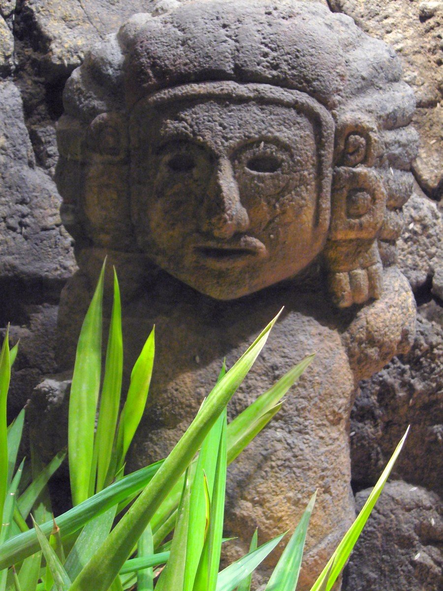 a face made out of stone surrounded by plants