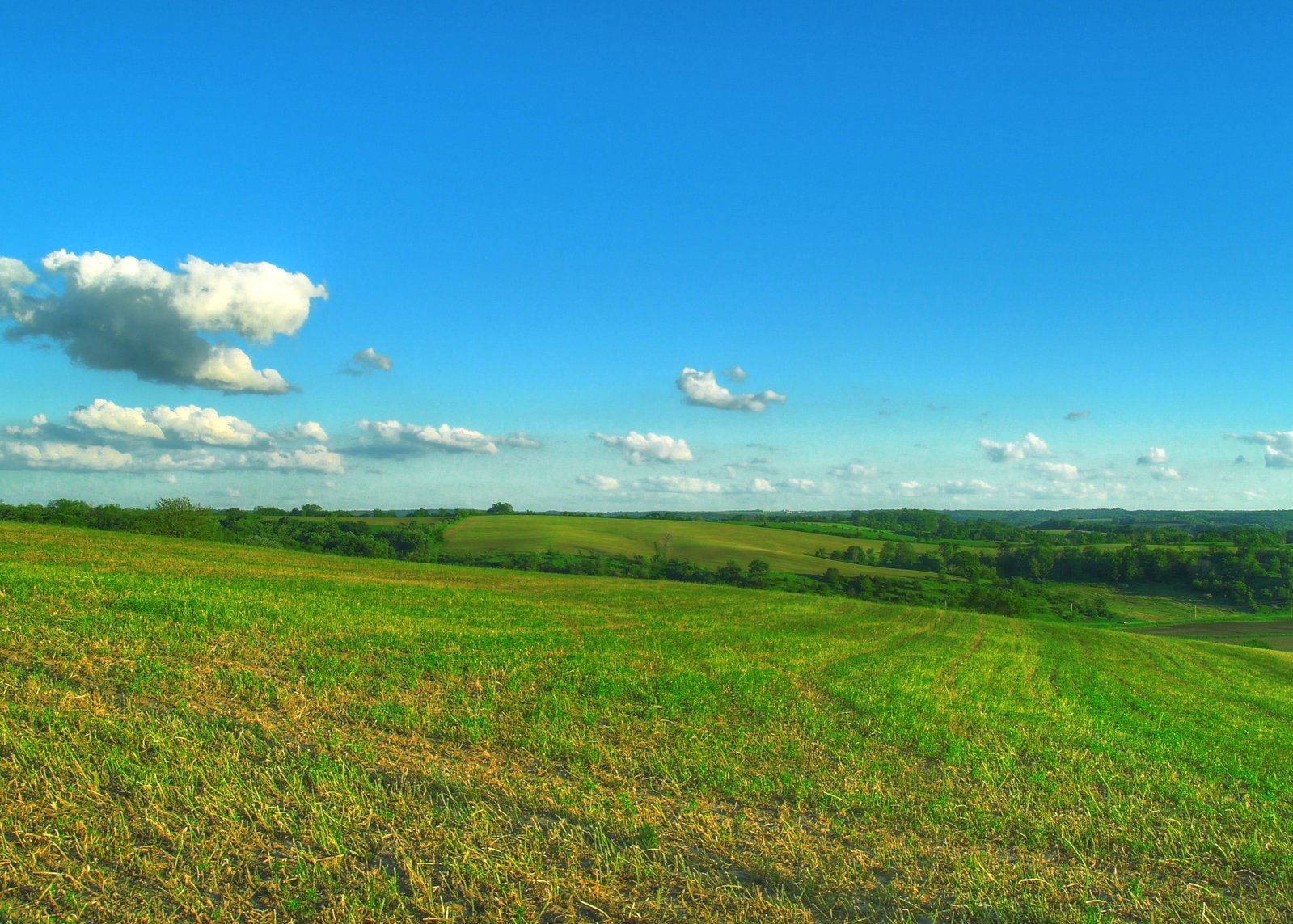 a wide open field on a sunny day