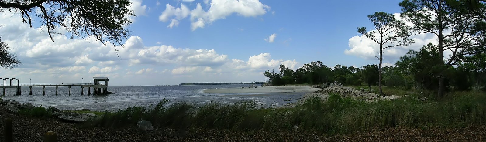 a scenic beach scene with trees and a pier