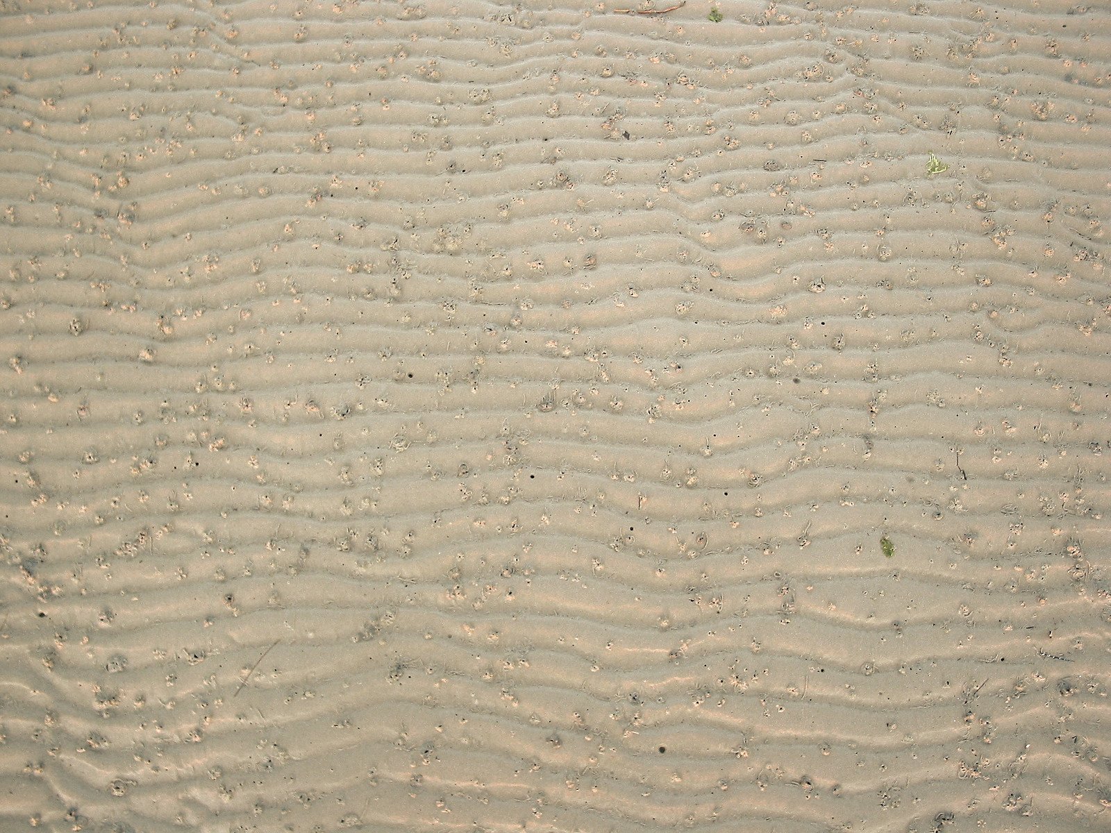 the sand on this beach looks like ripples in a sea