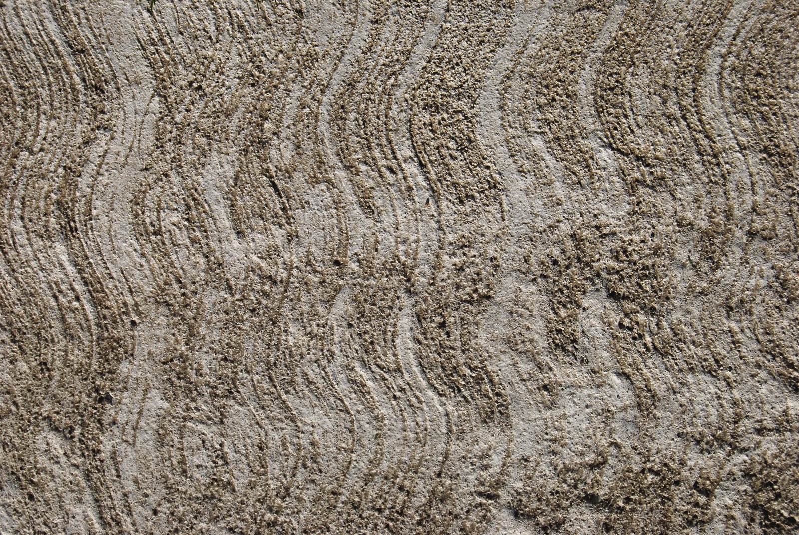 an up close view of an artistic looking, natural pattern