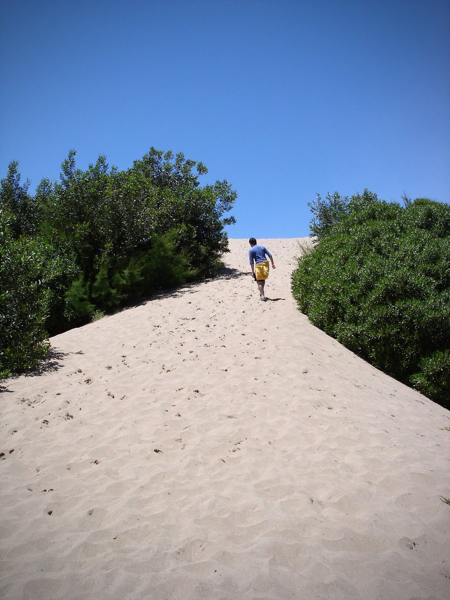 man walking across the sand in the middle of a jungle