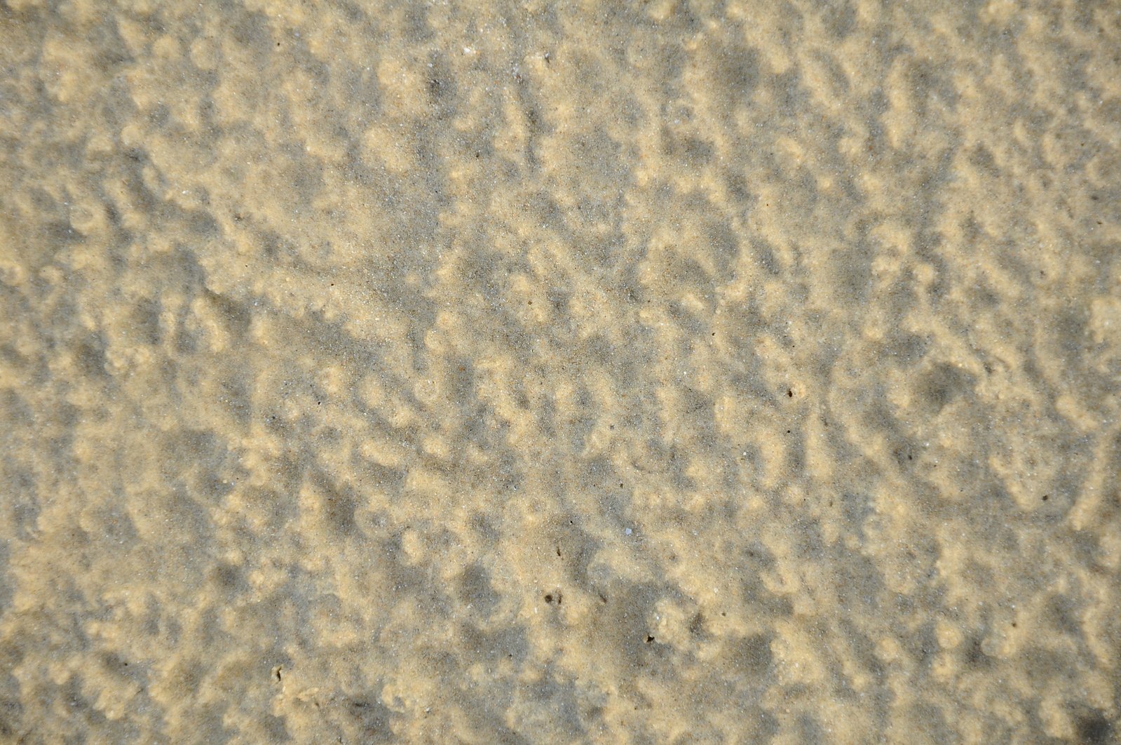 the sandy surface has little patches of sand on it