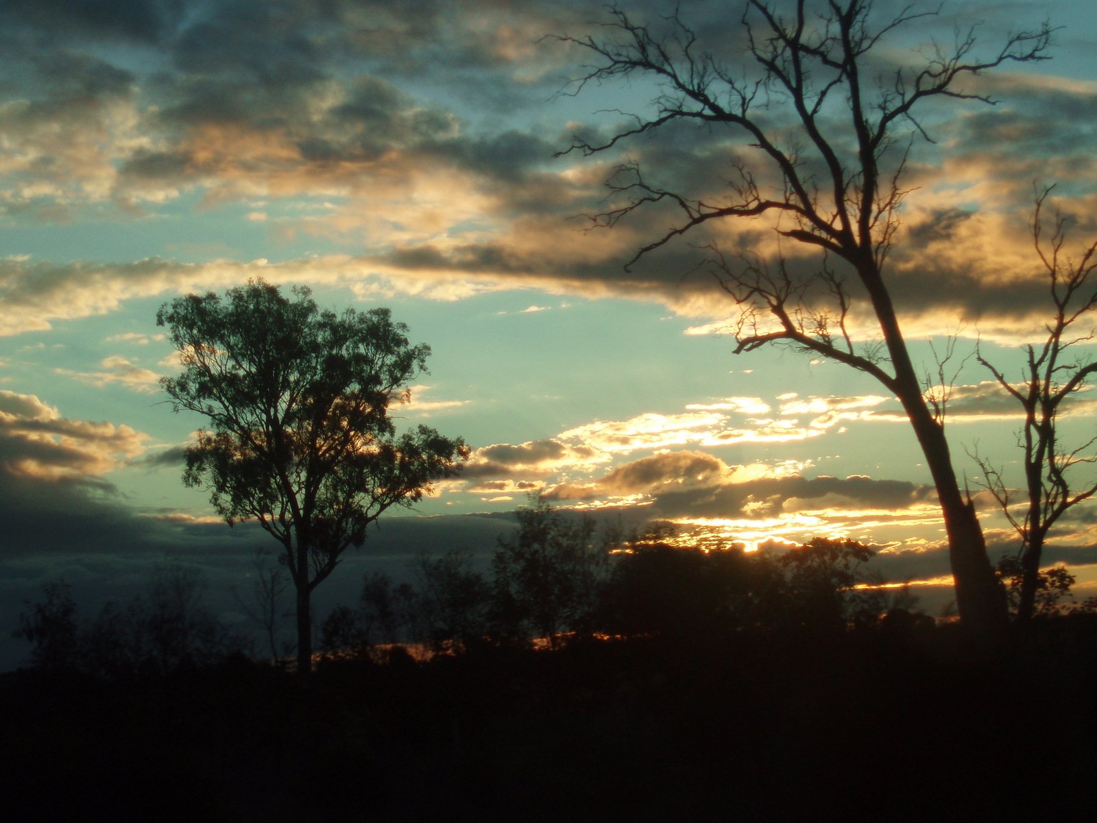 a sunset with the sun going down behind trees