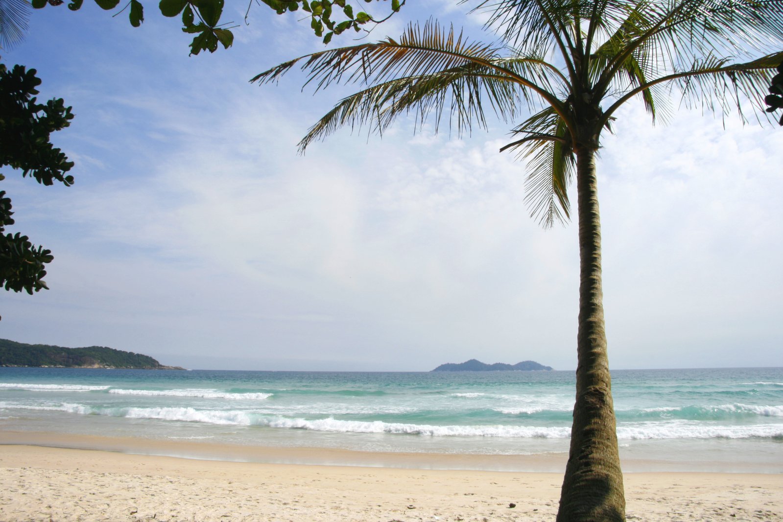 palm trees stand next to the ocean on a sunny day