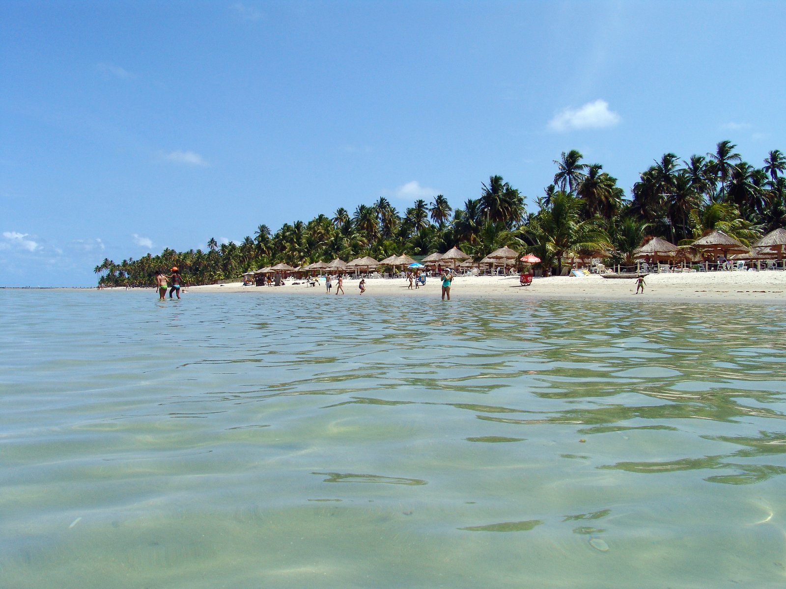 a tropical beach with palm trees and umbrellas in the background