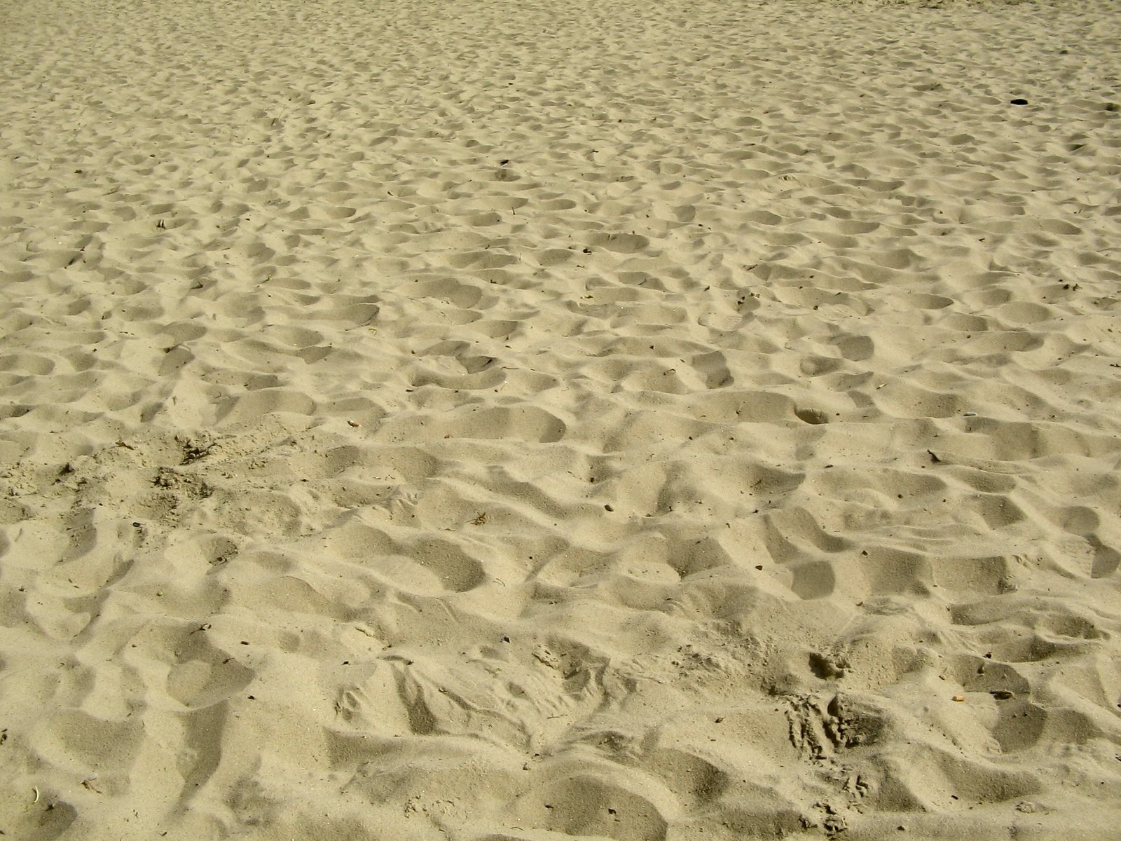 some very cute sand with small rocks in the background