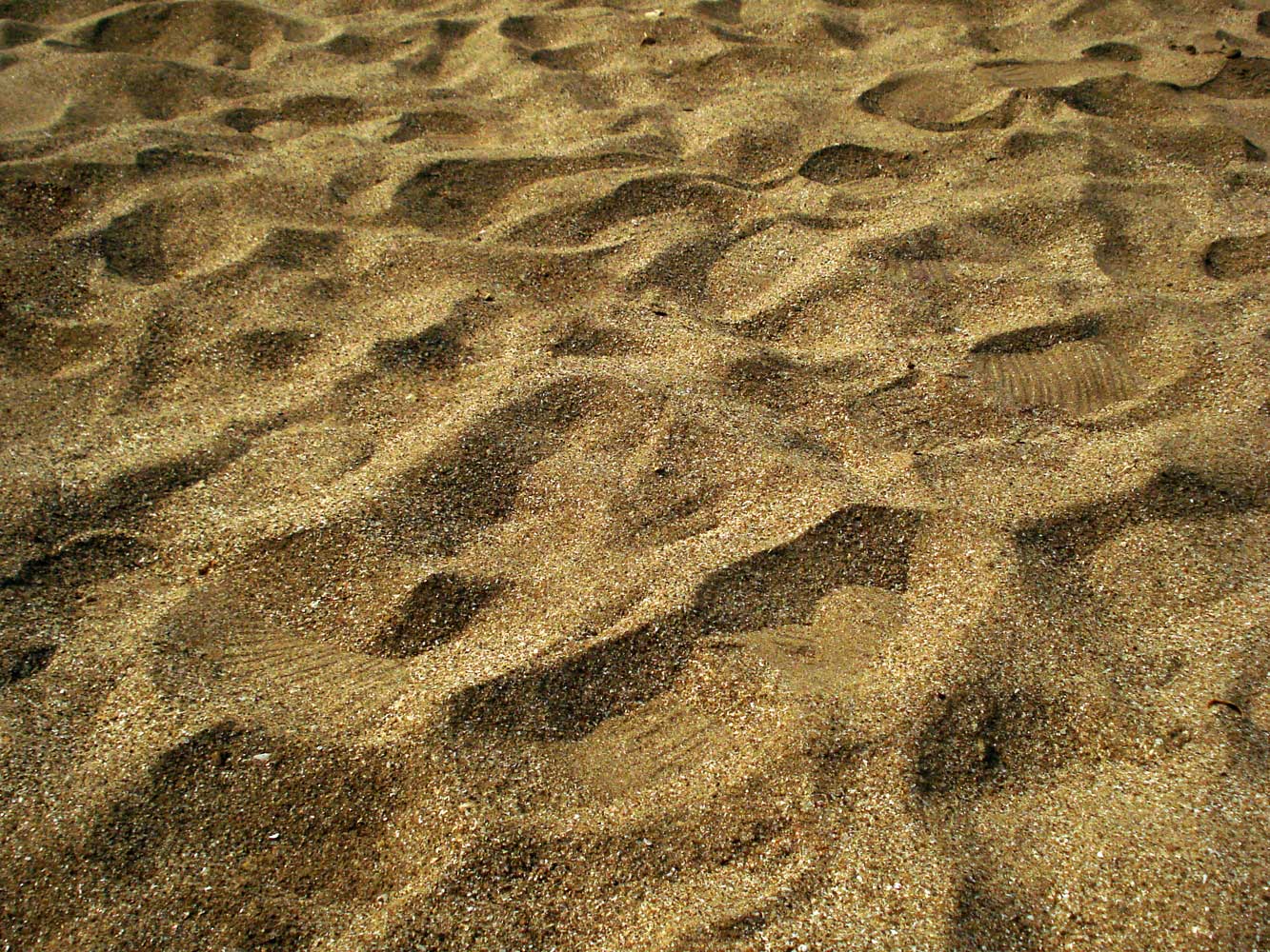 some footprints on a sand area near grass