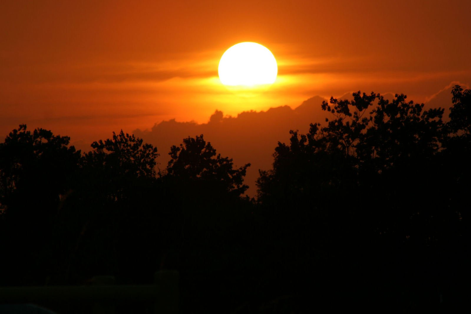 the sun setting over trees in a cloudy sky