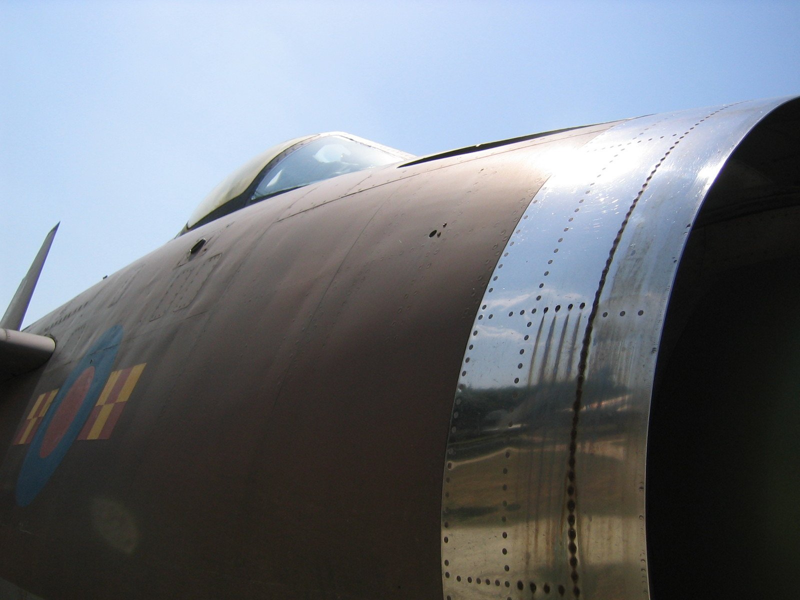 a close up view of the nose and wing