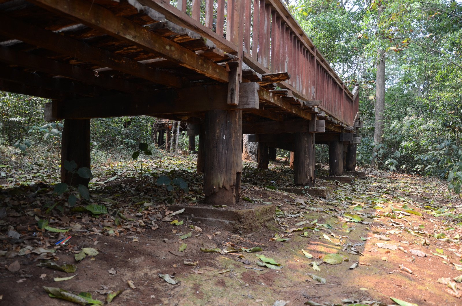 a dirty covered bridge in the middle of a forest