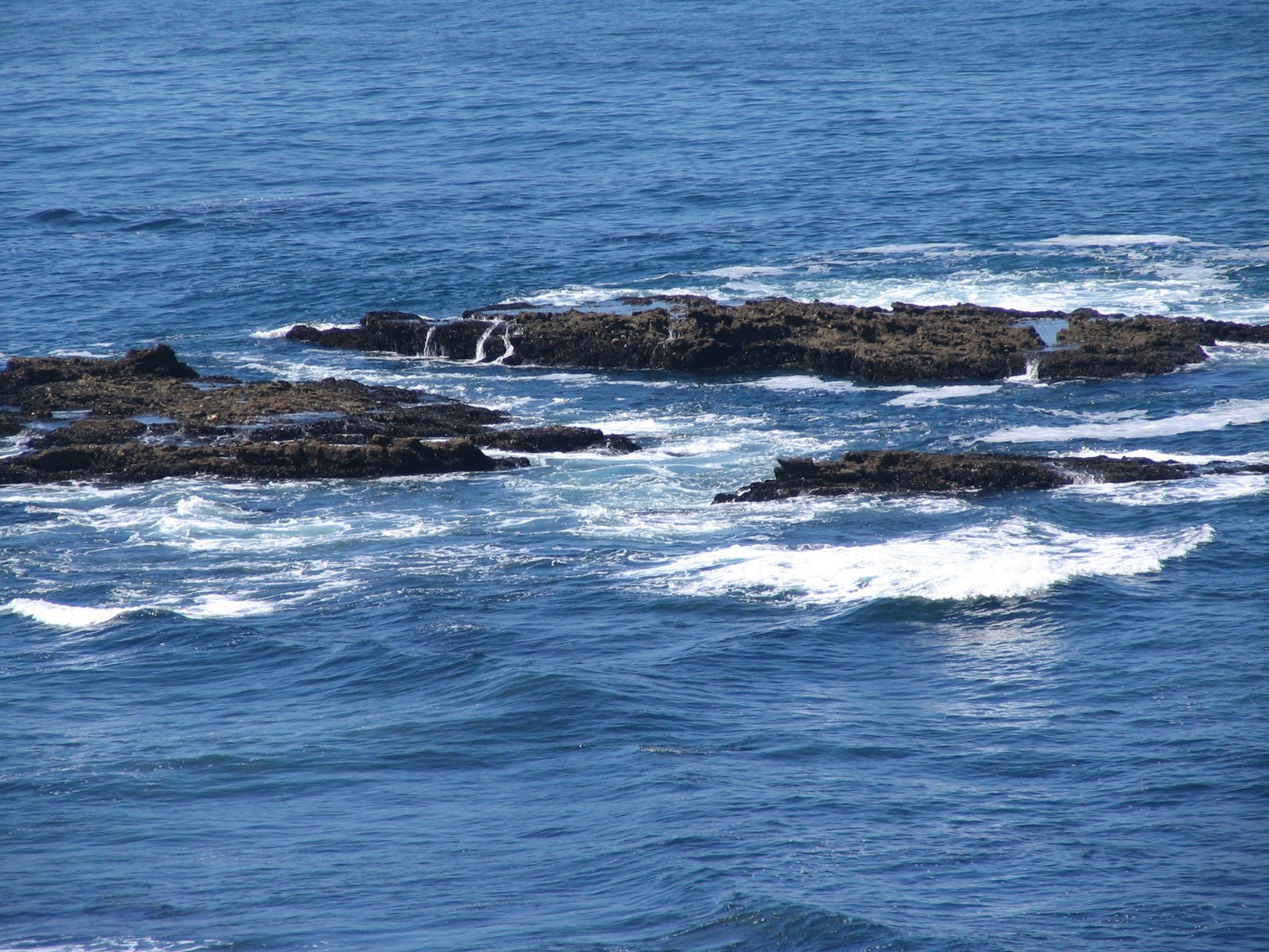 a bird perched on some rocks in the ocean