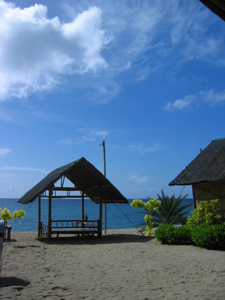 the bench is under a thatched roof overlooking the ocean