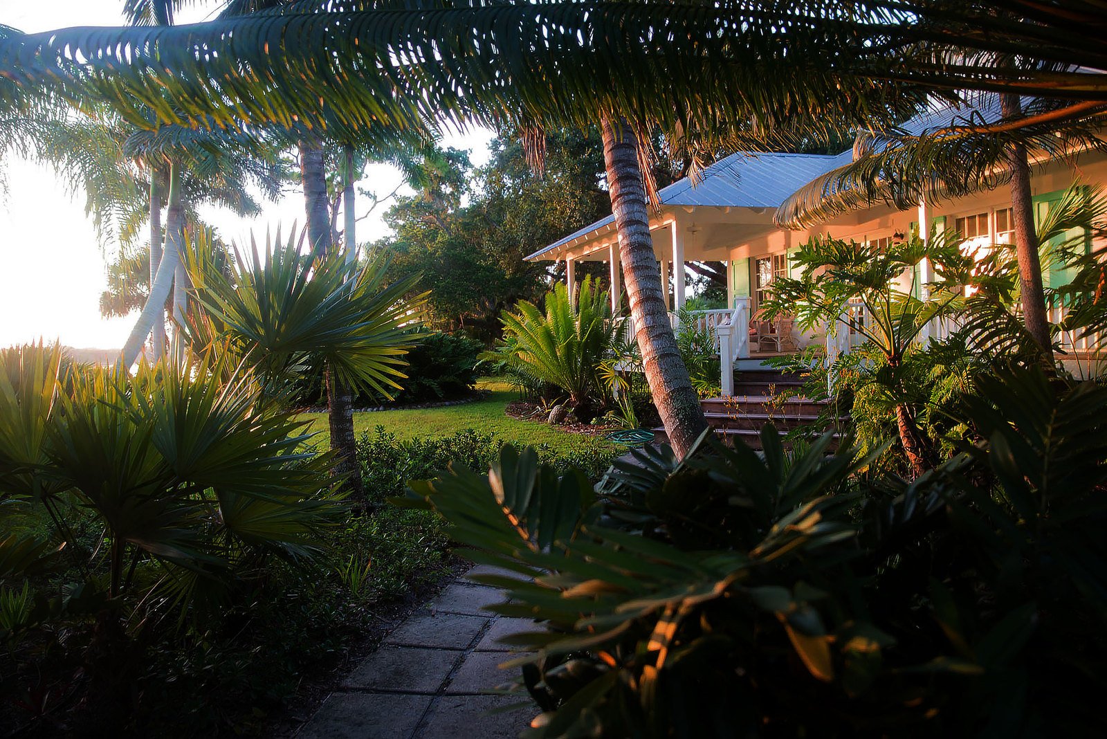 a white house sits behind some trees with a small path leading to the porch