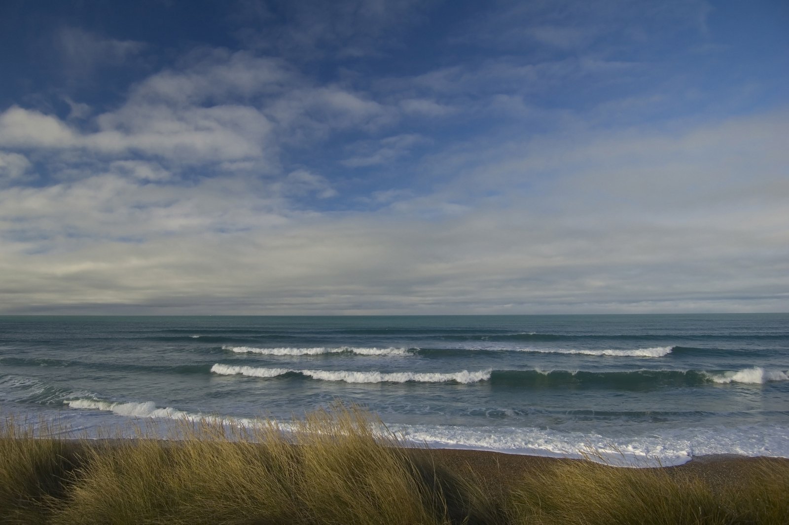 grass on the sand near the ocean under a cloudy sky