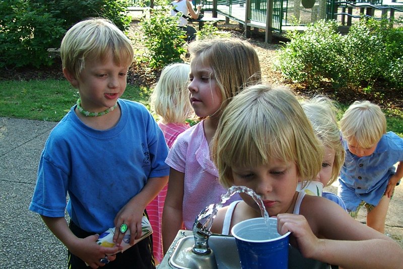 the s are drinking from a metal bucket