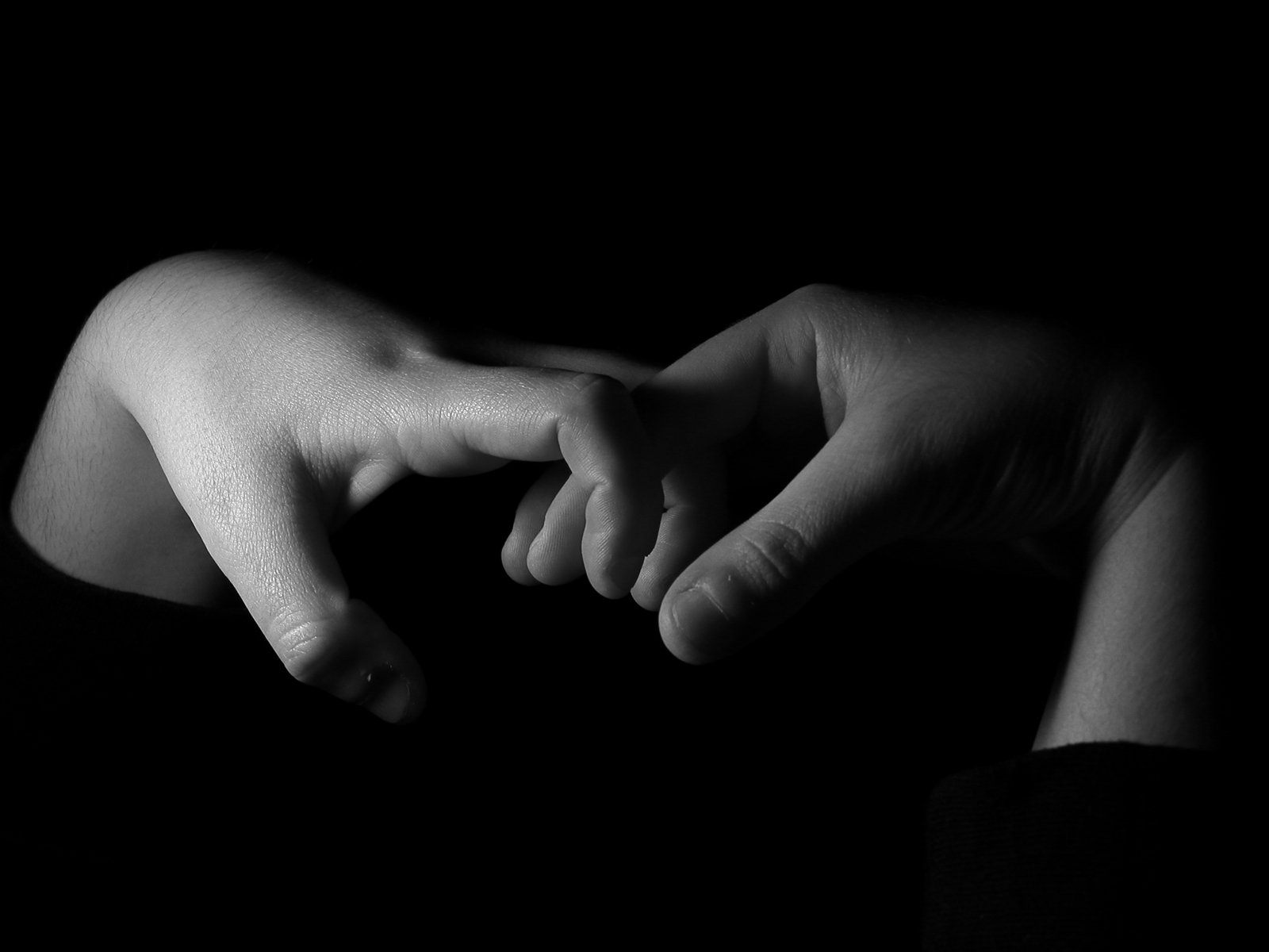 black and white pograph of two hands with their hands together