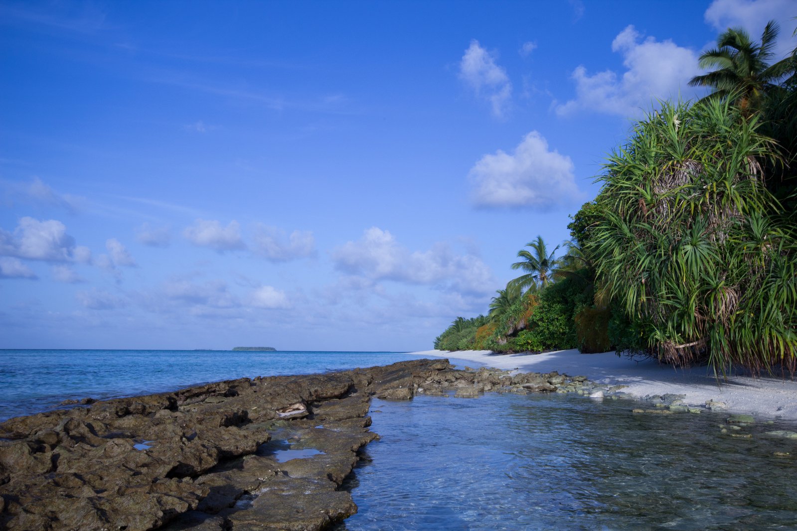 the calm water at an empty beach with a palm tree