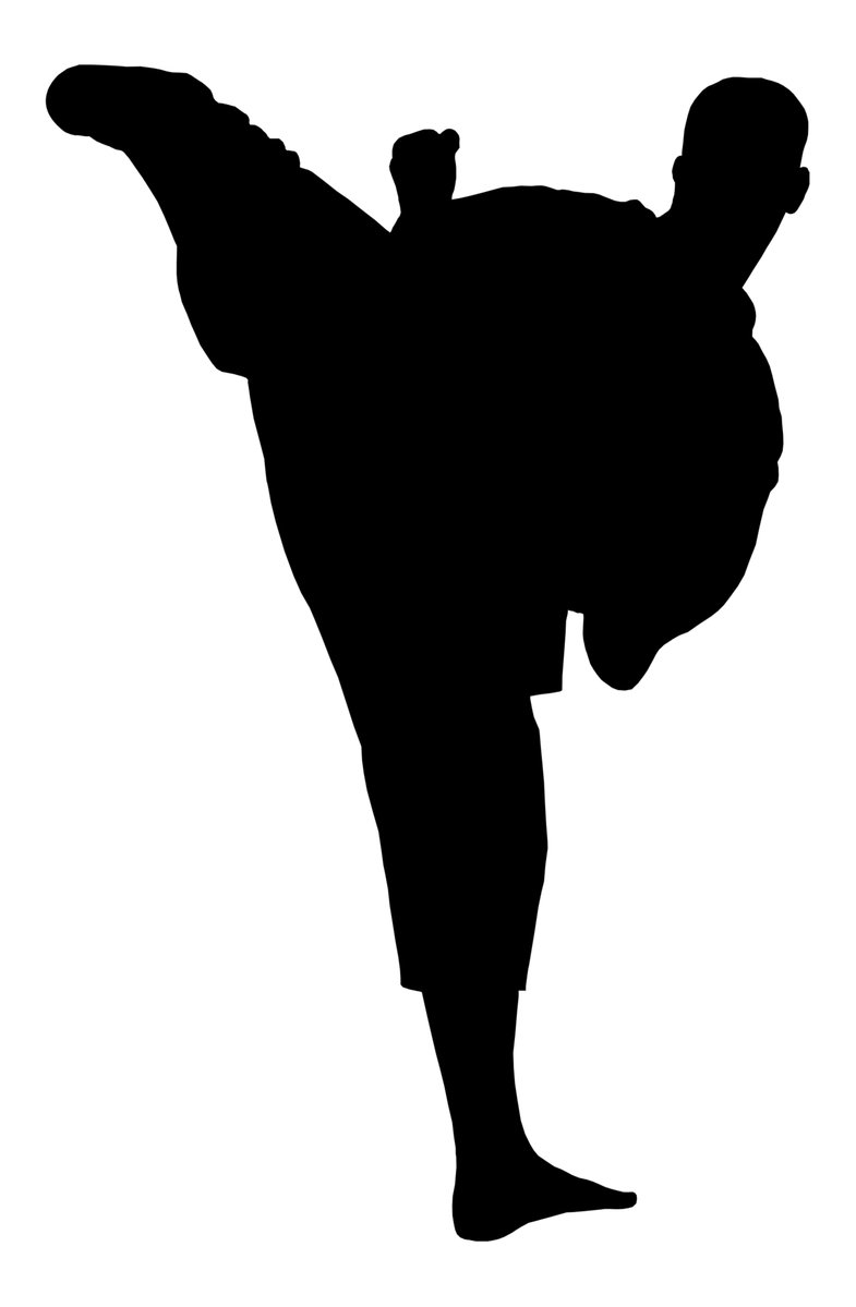 silhouette of karate karate fighter doing a kick