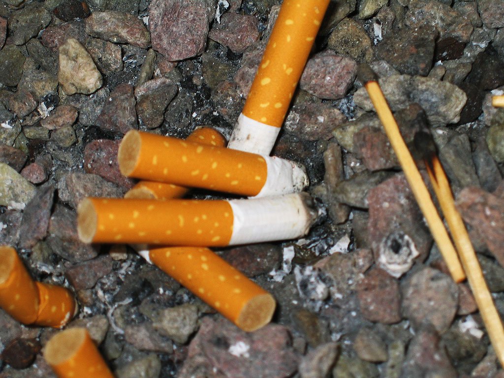 a group of cigarettes that are in the rocks