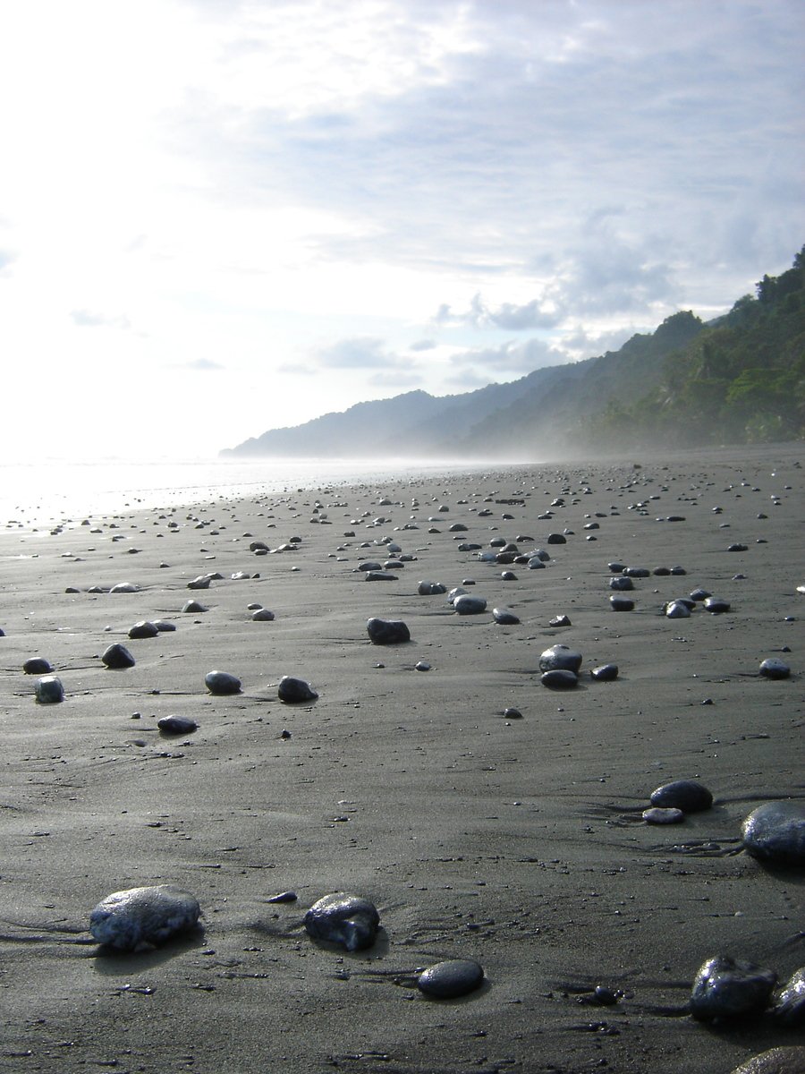 rocks and pebbles lie in the sand on the beach